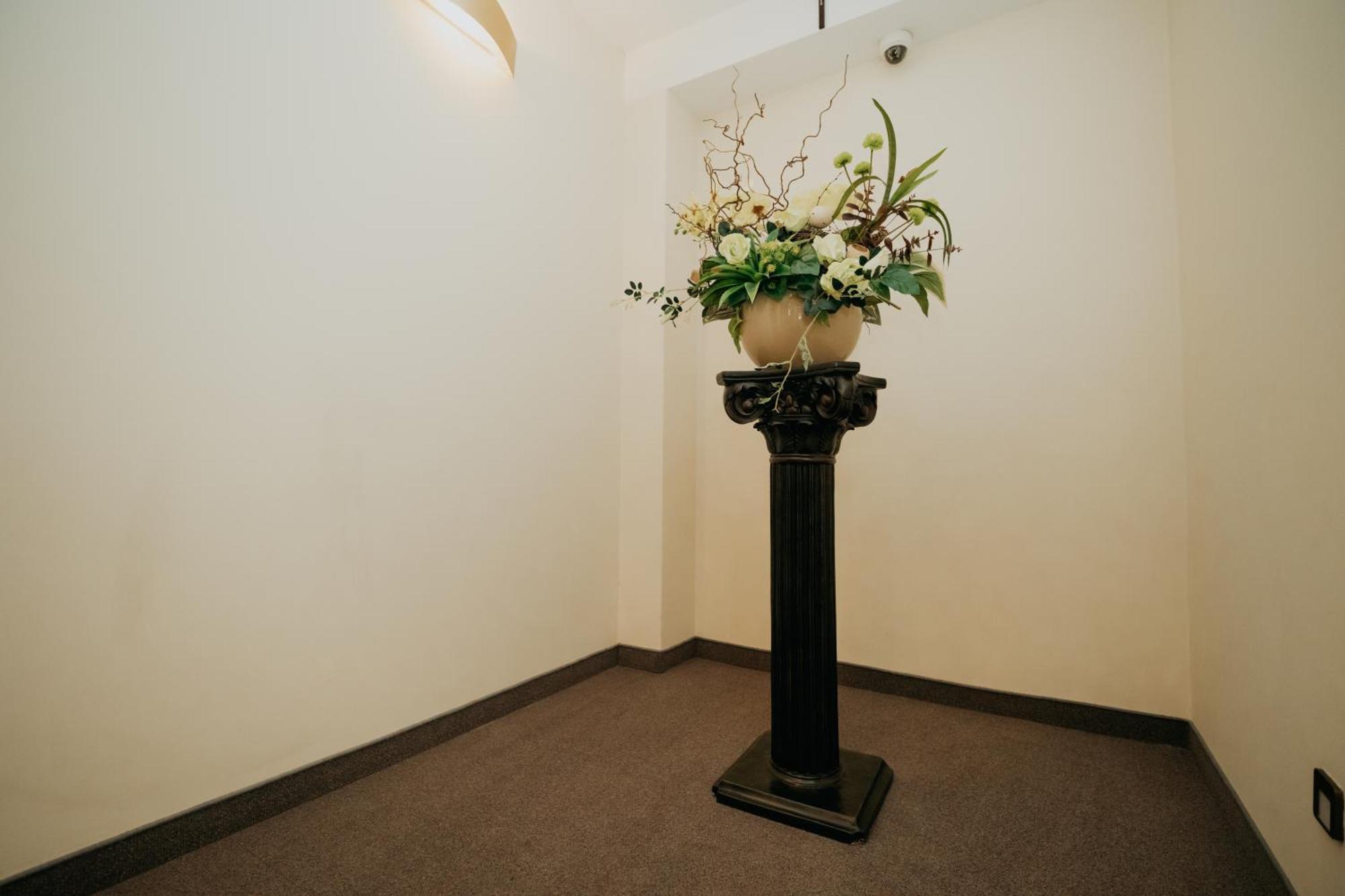 Noclegi - Apartamenty Zolynianka المظهر الخارجي الصورة